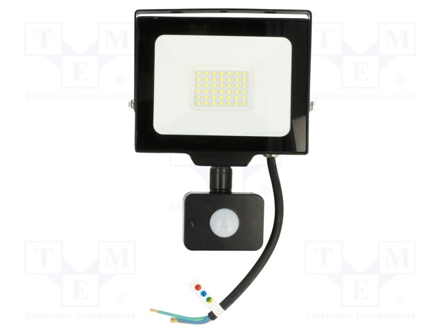 Lamp: LED flood light; 230VAC; 30W; 6400K; CRImin: 80; 3000lm