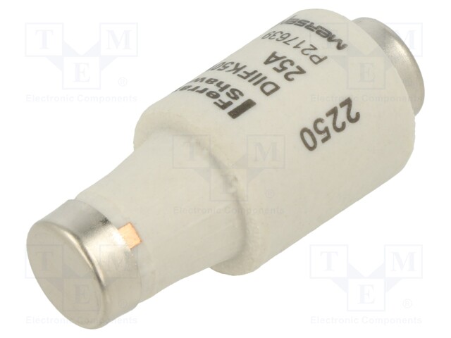 Fuse: fuse; gG; 25A; 500VAC; 500VDC; industrial; DII