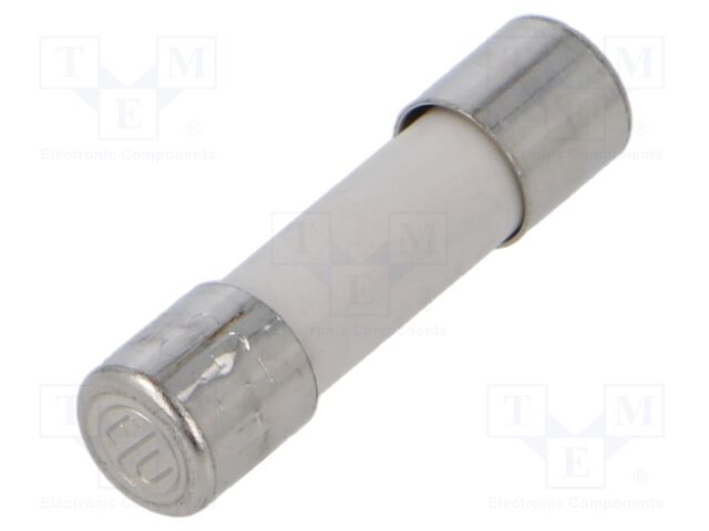 Fuse: fuse; time-lag; 10A; 250VAC; ceramic,cylindrical; brass