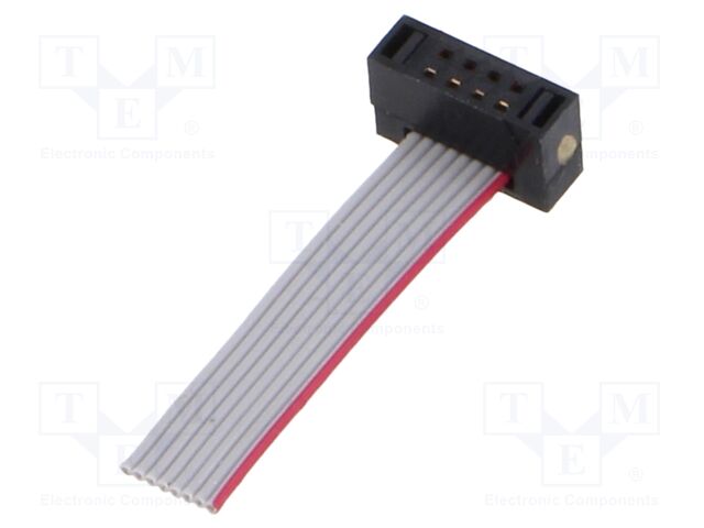 Ribbon cable with IDC connectors; Tape ph: 0.64mm; 25.4mm