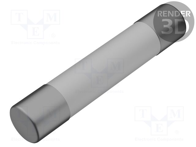 Fuse: fuse; quick blow; 250mA; 600VAC; 600VDC; 6.3x32mm