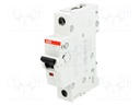 Circuit breaker; 230VAC; Inom: 80A; Poles: 1; DIN; Charact: C; 6kA