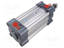 Profile cylinder; Piston diam: 25mm; Piston stroke: 80mm; 1÷10bar