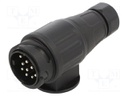 Connector: automotive; plug; PIN: 13; nickel plated; 12VDC; brass