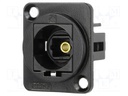 Connector: fiber optic; coupler; Toslink socket,both sides