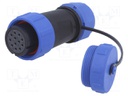 Plug; female; SP21; PIN: 12; with protective cap; IP68; 7÷12mm; 400V