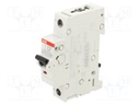 Circuit breaker; 230VAC; 220VDC; Inom: 25A; Poles: 1; Charact: C
