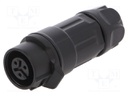Plug; Connector: circular; MRD; PIN: 3; 24AWG÷20AWG; gold flash; 5A