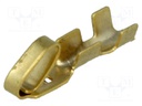 Contact; female; 0.05÷0.325mm2; 28AWG÷22AWG; NS25; gold-plated