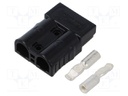 Connector: DC supply; plug; hermaphrodite; AXC50; 600V; PIN: 2; 50A
