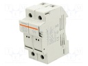 Fuse base; 10x38mm; for DIN rail mounting