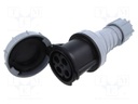 Connector: AC supply 3-phase; plug; female; 63A; 500VAC; IEC 60309