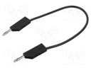 Test lead; 60VDC; 30VAC; 32A; Len: 250mm; black; Material: brass