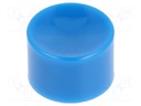 Pushbutton; Illumin: none; Body: blue; Man.series: MPA