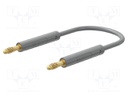 Test lead; 60VDC; 30VAC; 19A; banana plug 4mm,both sides; grey