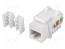 RJ45 module; white; Cat: 5/5e; on cable; RJ45 socket; -10÷60°C