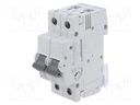 Circuit breaker; 230/400VAC; for DIN rail mounting; Charact: C