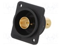 Coupler; BNC socket,both sides; FT; gold-plated; plastic; black