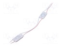 LED; white cold; 6000-8000K; 85lm; 170°; No.of diodes: 1; 80mA; 12V