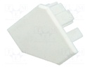 Cap for LED profiles; Application: TAN