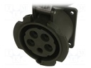 Connector: AC supply 3-phase; socket; female; 32A; 400VAC; IP67
