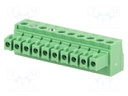 Pluggable terminal block; 3.81mm; ways: 10; straight; plug; female
