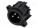 Socket; XLR; male; PIN: 3; straight; screw; THT; gold-plated; 133V; 6A