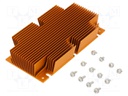 Heatsink: extruded; grilled; golden; L: 117mm; W: 61mm; H: 22.9mm