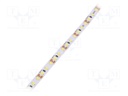 LED tape; white cold; 2835; 12V; LED/m: 120; 8mm; IP33; 9.6W/m