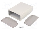 Enclosure: multipurpose; with fixing lugs,with panel; TEKAL
