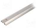 Profiles for LED modules; mat; surface; L: 2m; aluminium; anodized