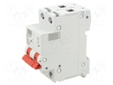Circuit breaker; 230/400VAC; Inom: 10A; Poles: 2; Charact: C; 6kA