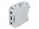 Splice terminal: rail; 50mm2; ways: 1; terminals: 2; grey; TS32,TS35