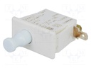 Switch: door; Pos: 2; SPDT; 10A/250VAC; white; Cutout: 28.4x14mm