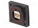 Coupler; Buccaneer Ethernet; PIN: 8; Contacts: phosphor bronze