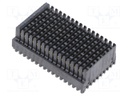 "MULTIGIG RT T2 .8"" BP FULL RGH"