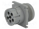 Connector: wire-wire; AHD; socket; male; PIN: 6; Locking: bayonet