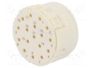 Connector: M23; PIN: 17; male; crimped; w/o contacts; 160V; 8A