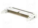 Plug; IDC; male; PIN: 40; IDC; for ribbon cable; 1.27mm; gold-plated