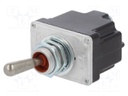 Switch: toggle; Pos: 2; DPST; OFF-ON; 6A/230VAC; 20A/28VDC; -65÷71°C