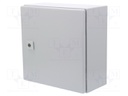 Enclosure: wall mounting; X: 300mm; Y: 300mm; Z: 155mm; AE; IP66; IK08