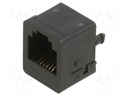 ModJack 062 Flgls LoPro W/O Clip 6/6