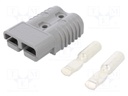 Plug; wire-wire; SB175; hermaphrodite; PIN: 2; for cable; crimped