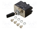 SWITCH, TOGGLE, DPST, 30A