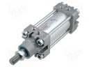 Stiletto actuator; Piston diam: 25mm; Piston stroke: 50mm