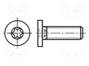 Screw; M4x20; Head: cheese head; Torx®; steel; zinc; TX10