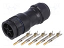 Connector: circular; male; plug; crimped; PIN: 5; 14AWG÷12AWG; IP68