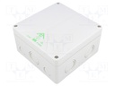 Enclosure: junction box; X: 140mm; Y: 140mm; Z: 79mm; polystyrene