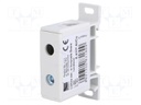 Splice terminal: rail; 50mm2; ways: 1; terminals: 2; grey; TS35; 600V