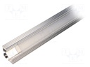 Profiles for LED modules; mat; angular; L: 2m; aluminium; 45°
